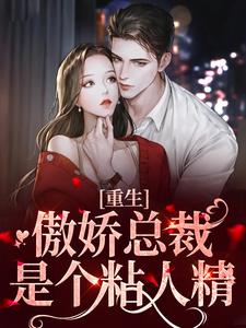 �����������ܲ��Ǹ�ճ�˾�